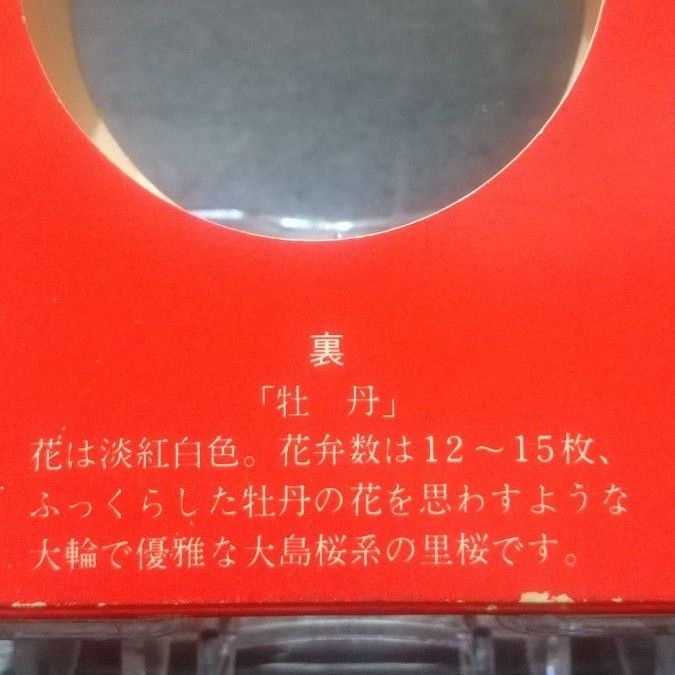 造幣局メダル JapanCoin 淀川蒸気船 桜の通り抜け 1979年 牡丹 造幣局メダル JapanCoin 淀川蒸気船 桜の通り抜け 1979年 牡丹