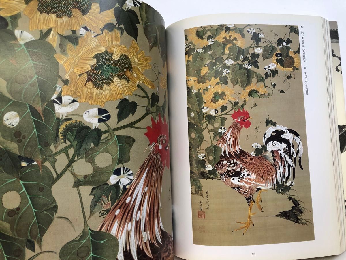伊藤若冲 特別展覧会 図録 没後200年 日本画 水墨画|Yahoo 伊藤若冲 特別展覧会 図録 没後200年 日本画 水墨画|Yahoo