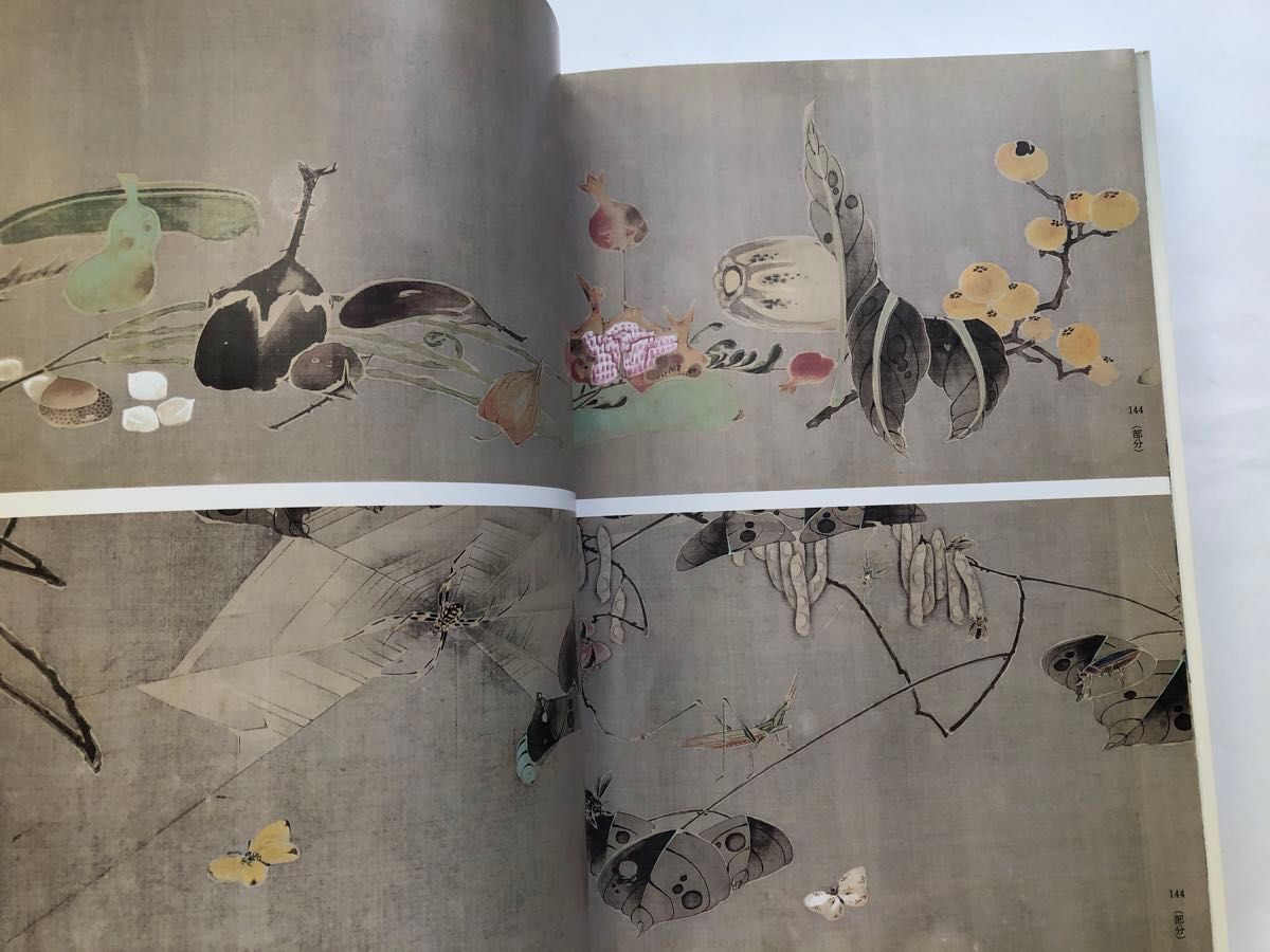 伊藤若冲 特別展覧会 図録 没後200年 日本画 水墨画|Yahoo 伊藤若冲 特別展覧会 図録 没後200年 日本画 水墨画|Yahoo