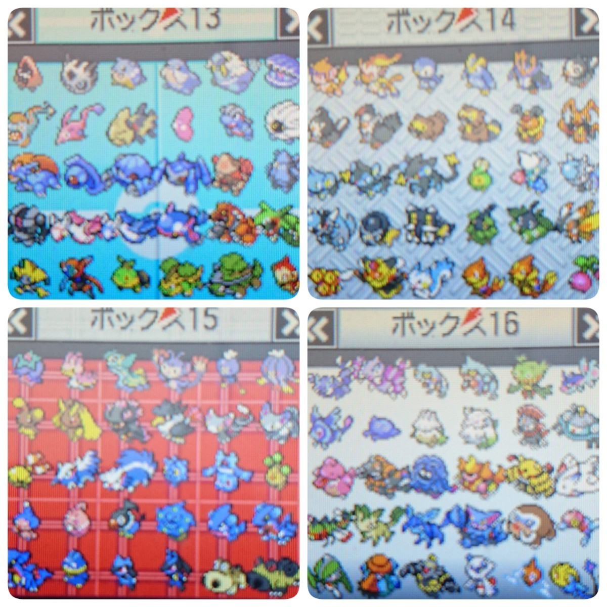 Paypayフリマ ソフトのみ ケース無し V6 配信 伝説 ポケットモンスター ブラック Paypayフリマ ソフトのみ ケース無し V6 配信 伝説 ポケットモンスター ブラック