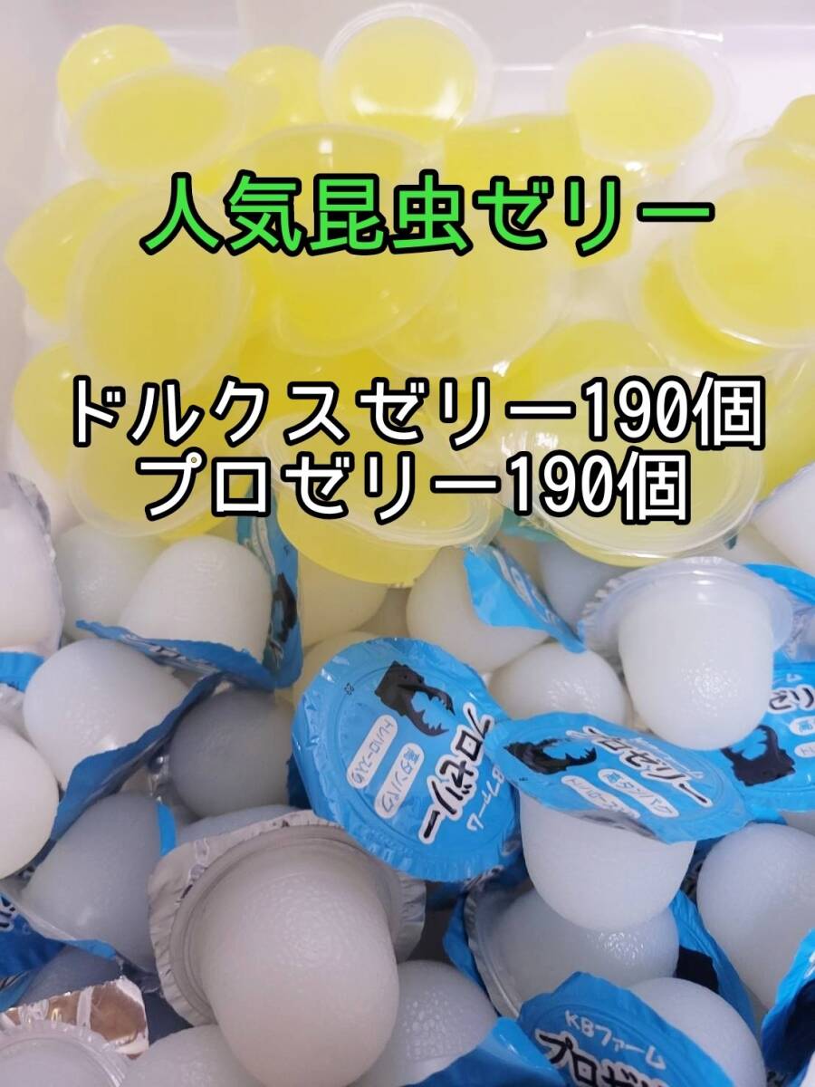 ニジイロクワガタに抜群 極上!黒アワビタケ菌糸瓶【15本】特殊 ニジイロクワガタに抜群 極上!黒アワビタケ菌糸瓶【15本】特殊