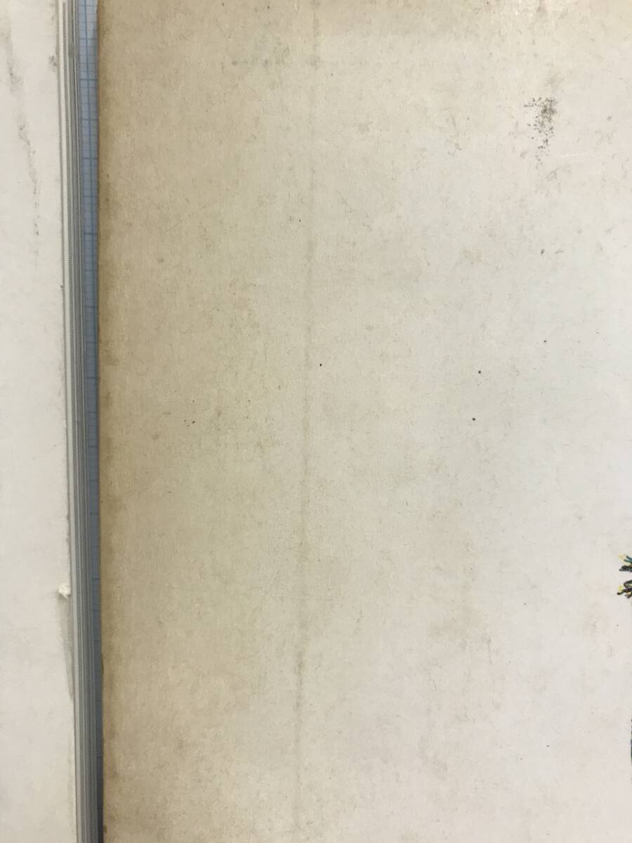 No.7