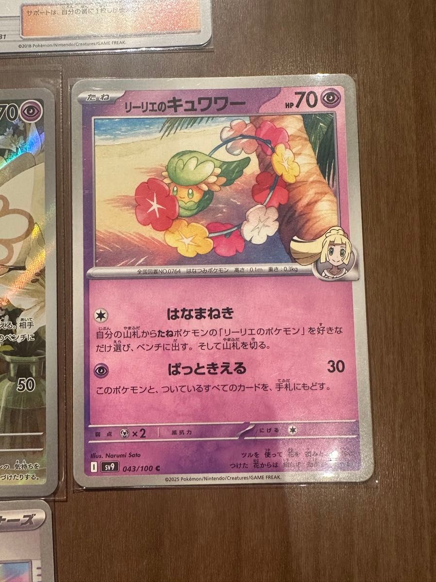 リーリエセット リーリエのアブリボン アブリー キュワワー しん リーリエセット リーリエのアブリボン アブリー キュワワー しん