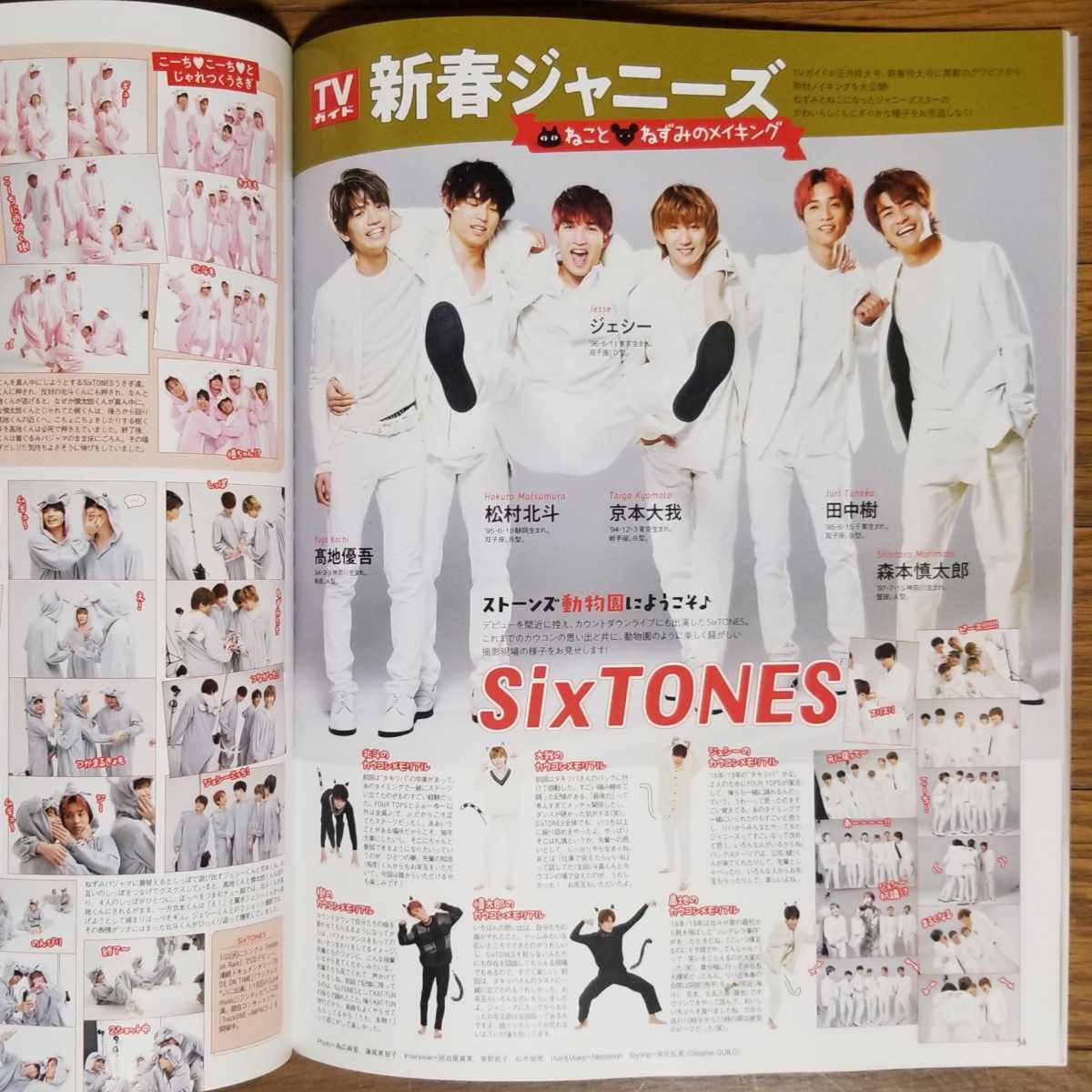 【バラ売可】TVガイドplus vol.37 V6 NEWS 上田竜也 山下智久 King & Prince SixTONES Snow Man Jr. 嵐 Hey!Say!JUMP Kis-My-Ft2 Sexy Zone