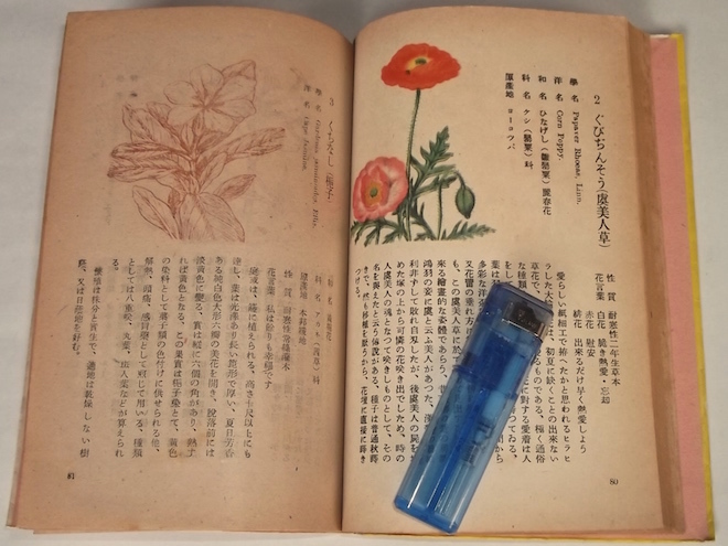 ヤフオク 昭和22年 新選花言葉集 吉津良恭 タキイ種苗 絶 ヤフオク 昭和22年 新選花言葉集 吉津良恭 タキイ種苗 絶