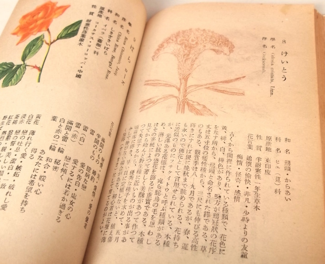 ヤフオク 昭和22年 新選花言葉集 吉津良恭 タキイ種苗 絶 ヤフオク 昭和22年 新選花言葉集 吉津良恭 タキイ種苗 絶