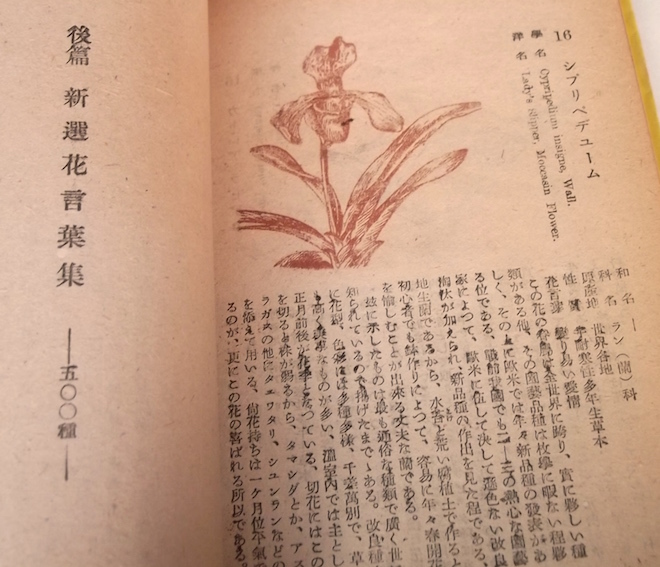 ヤフオク 昭和22年 新選花言葉集 吉津良恭 タキイ種苗 絶 ヤフオク 昭和22年 新選花言葉集 吉津良恭 タキイ種苗 絶