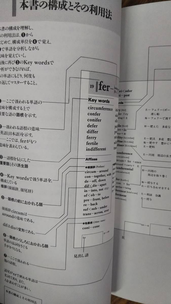 豪華で新しい 代々木ゼミナール 帯付き building英単語 word English 宮尾瑛祥 英単語、熟語