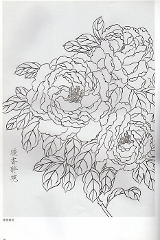 ヤフオク 芍薬画稿 工筆画白描教学示範 下