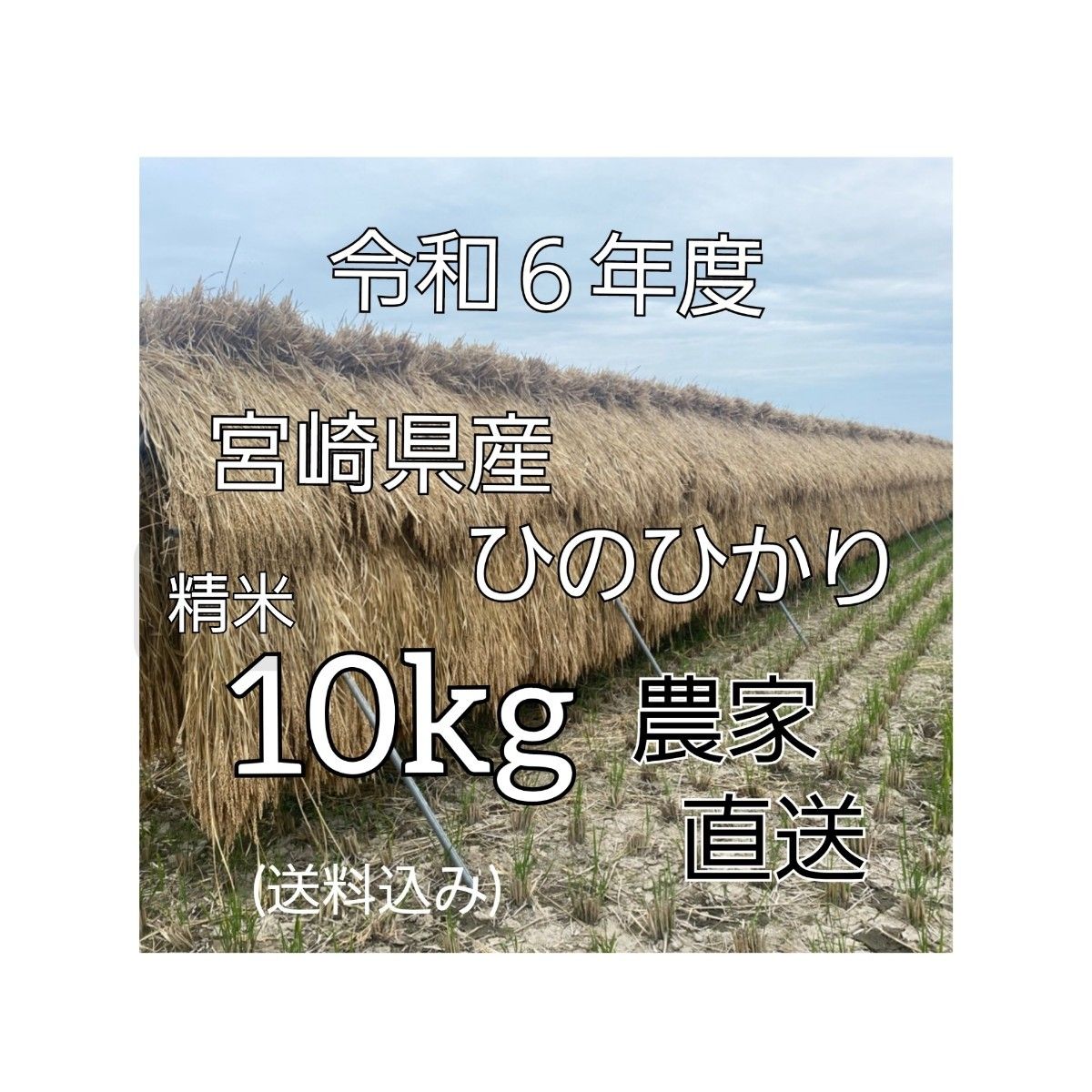 宮崎県産 ひのひかり10kg