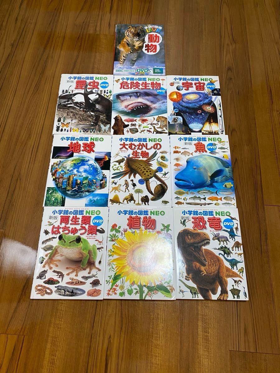 小学館の図鑑NEO 9冊 + おまけ1冊