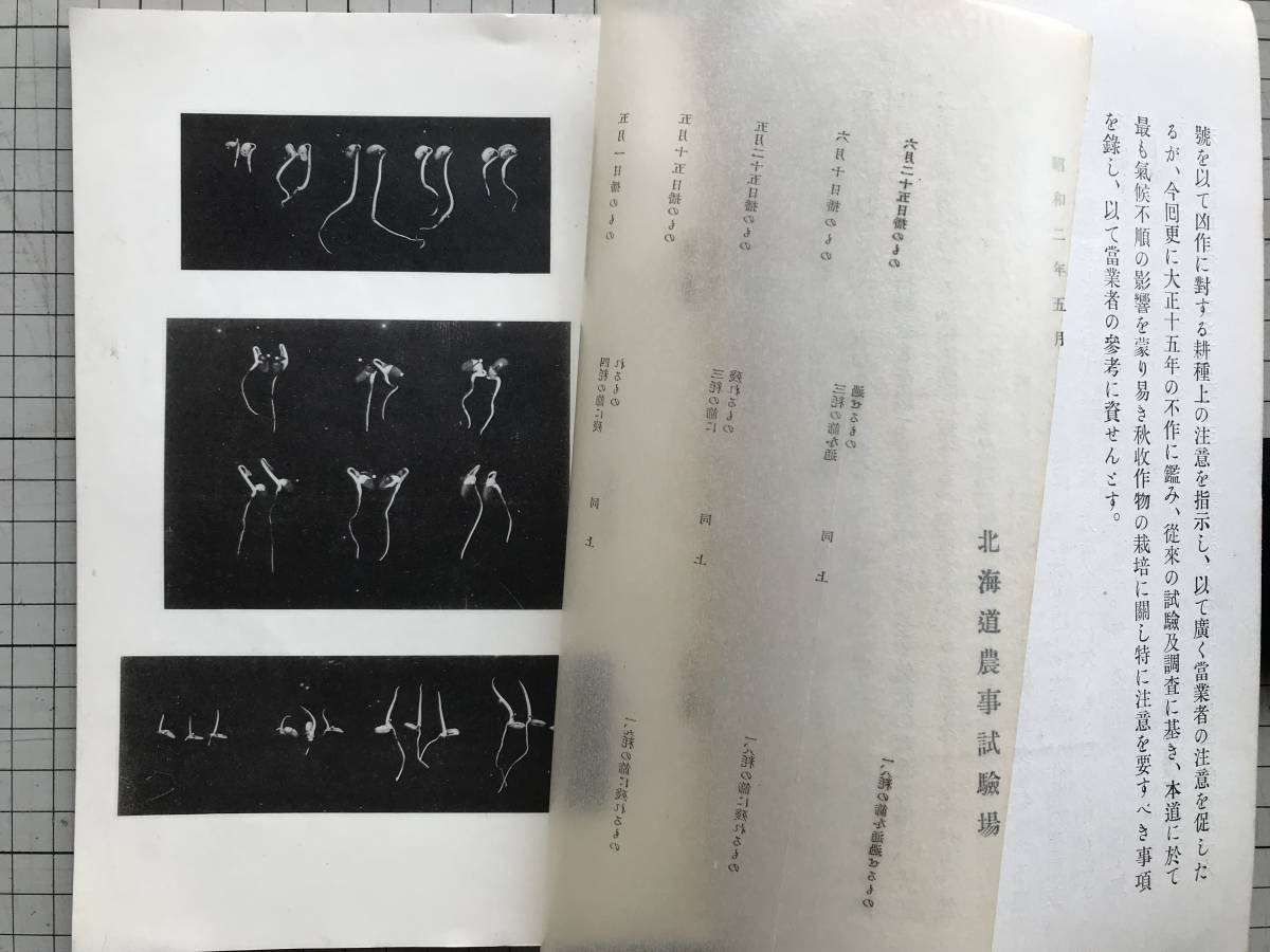 『大正十五年の不作より見たる耕種上の注意 北海道農事試驗場彙報第四十五号 昭和二年五月』技手平田義祐編纂 ※秋収穫物の作況 他 00515_画像4