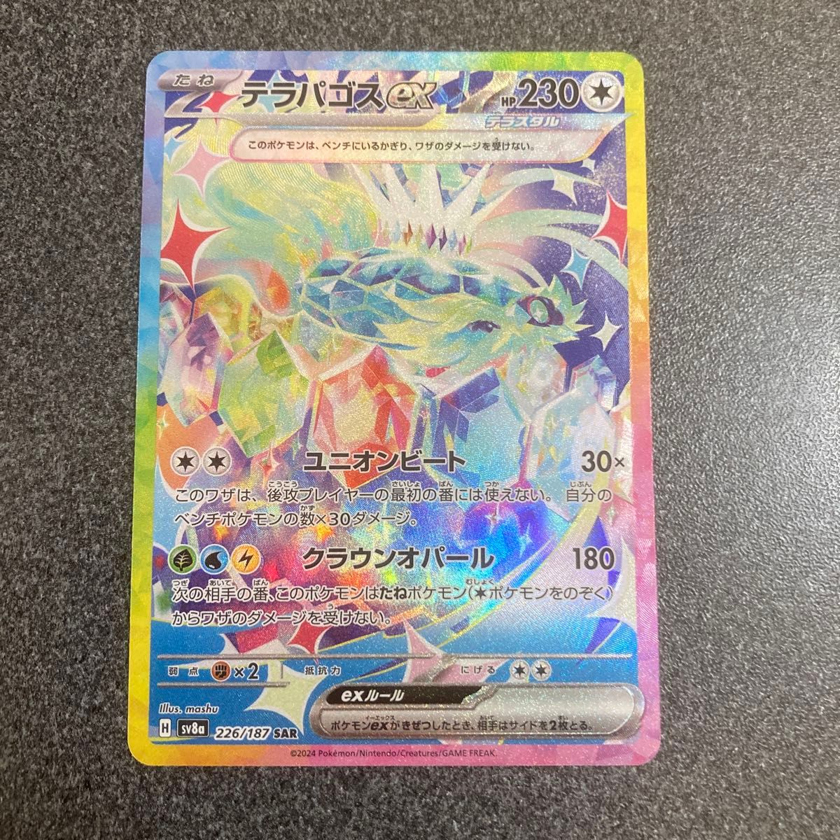 テラパゴスex SAR ポケモンカード|Yahoo!フリマ(旧PayPayフリマ) テラパゴスex SAR ポケモンカード|Yahoo!フリマ(旧PayPayフリマ)