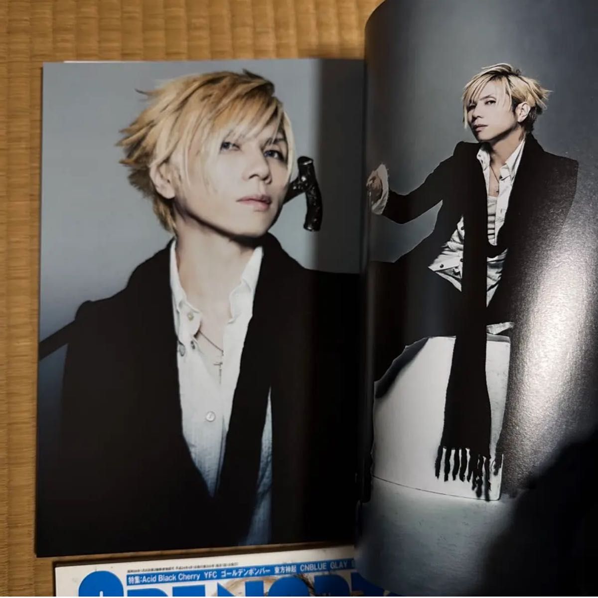 acid black cherry 表紙 特集 雑誌 特典ポスター まとめ売り acid black cherry 表紙 特集 雑誌 特典ポスター まとめ売り