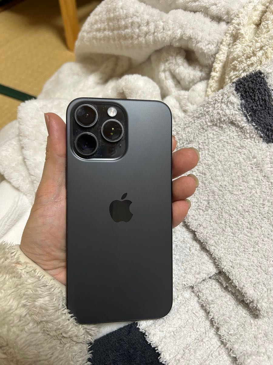 アメリカ版 iPhone 15 pro max 1tb,画面の左側に2つの黒い点が アメリカ版 iPhone 15 pro max 1tb,画面の左側に2つの黒い点が