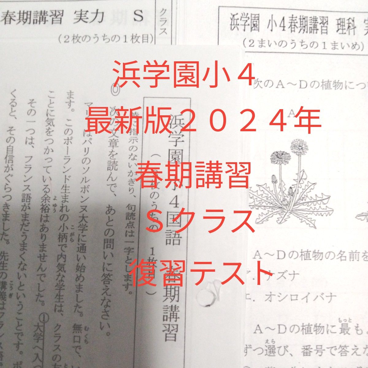 専用 浜学園2024年Sクラス4科目復習テスト 浜学園小4 最新版2024年 春期講習 Sクラス 復習テスト|Yahoo