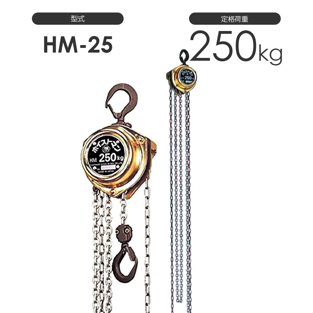 象印 ホイストマン HM-25 250kg HM25 チェーンブロック | www.bioimune