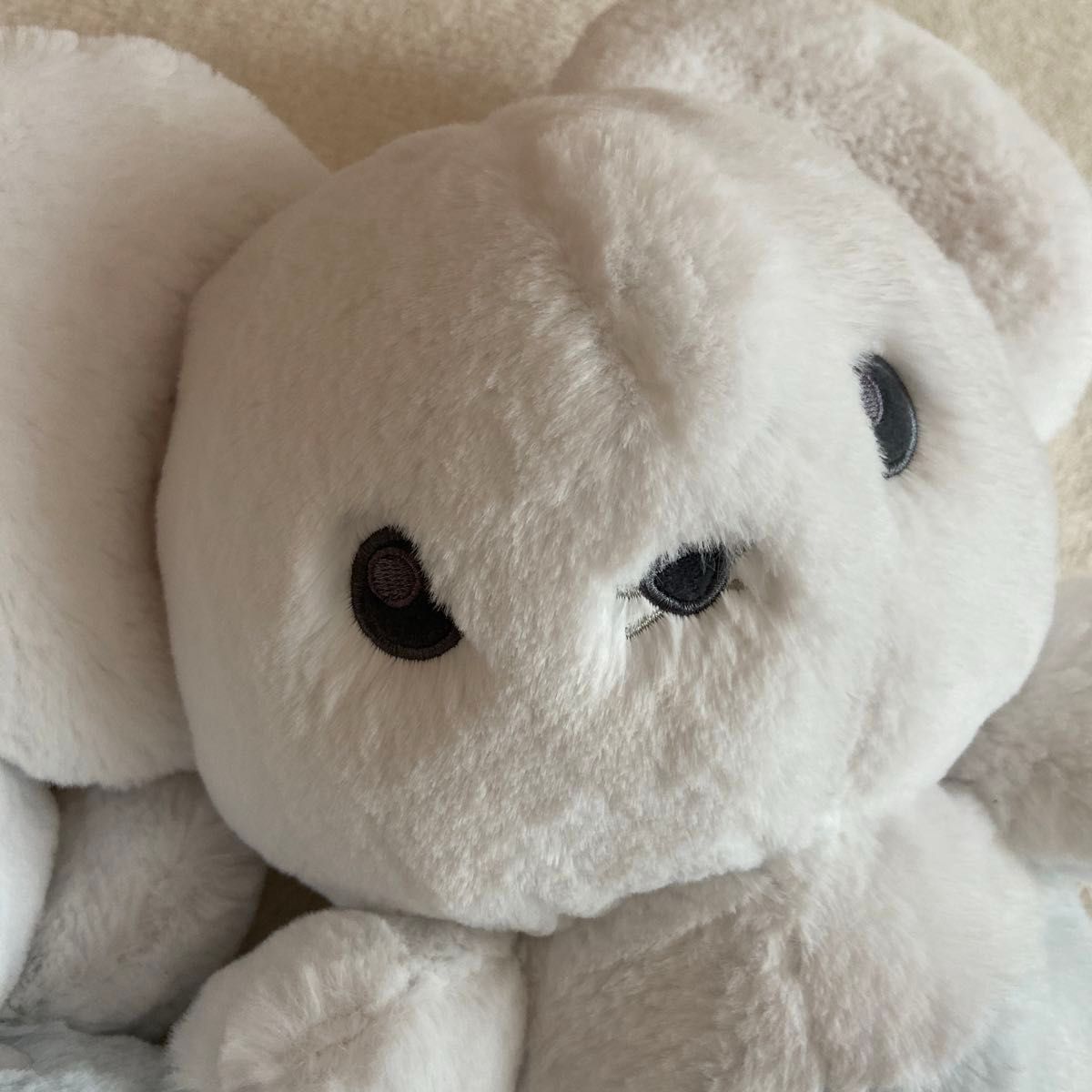 ポケモンセンターオリジナル ふわふわ抱きぬいぐるみ ポケモンセンターオリジナル ふわふわ抱きぬいぐるみ