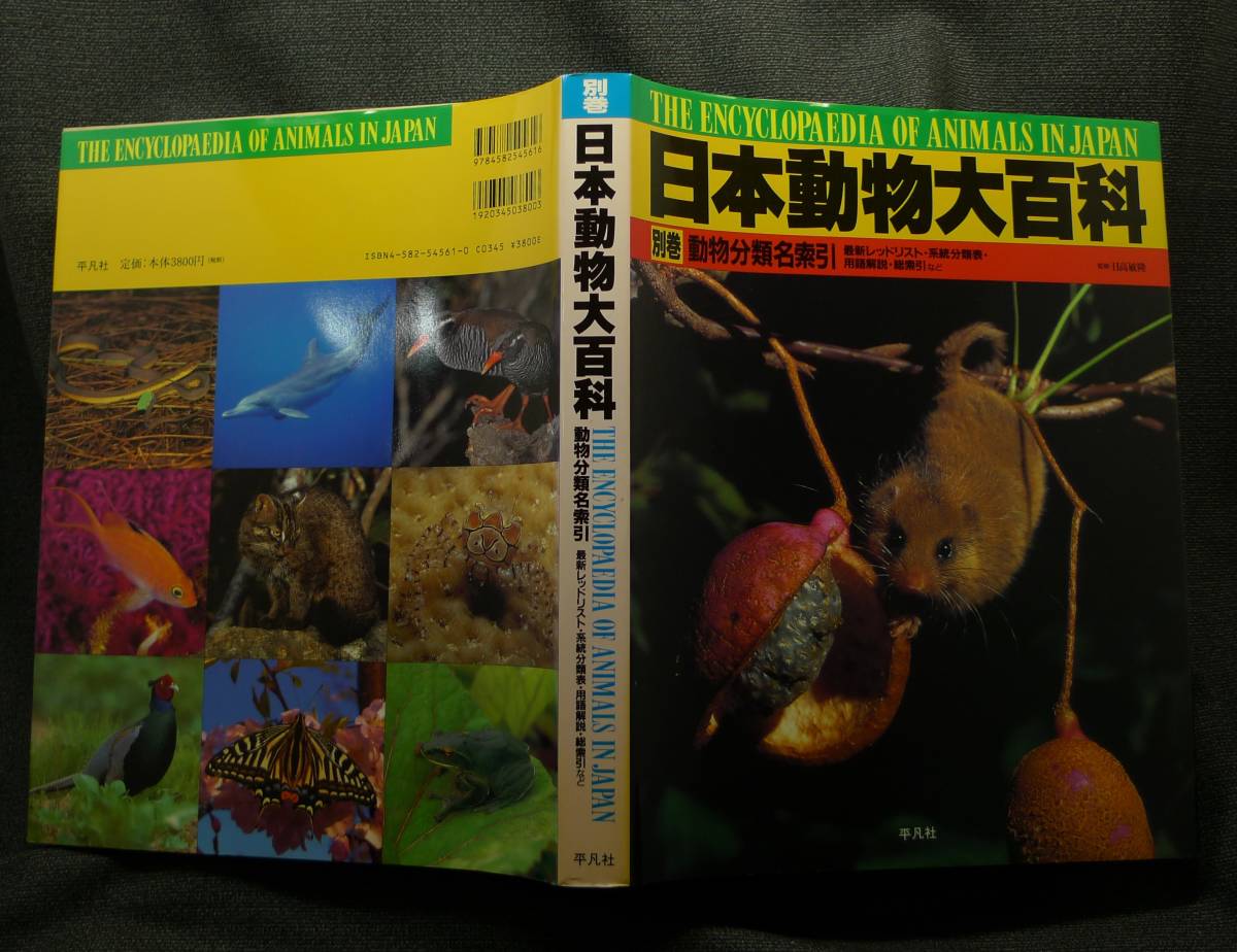 Yahoo!オークション - 【超希少 初版 美品 全11巻セット】古本 Yahoo!オークション - 【超希少 初版 美品 全11巻セット】古本