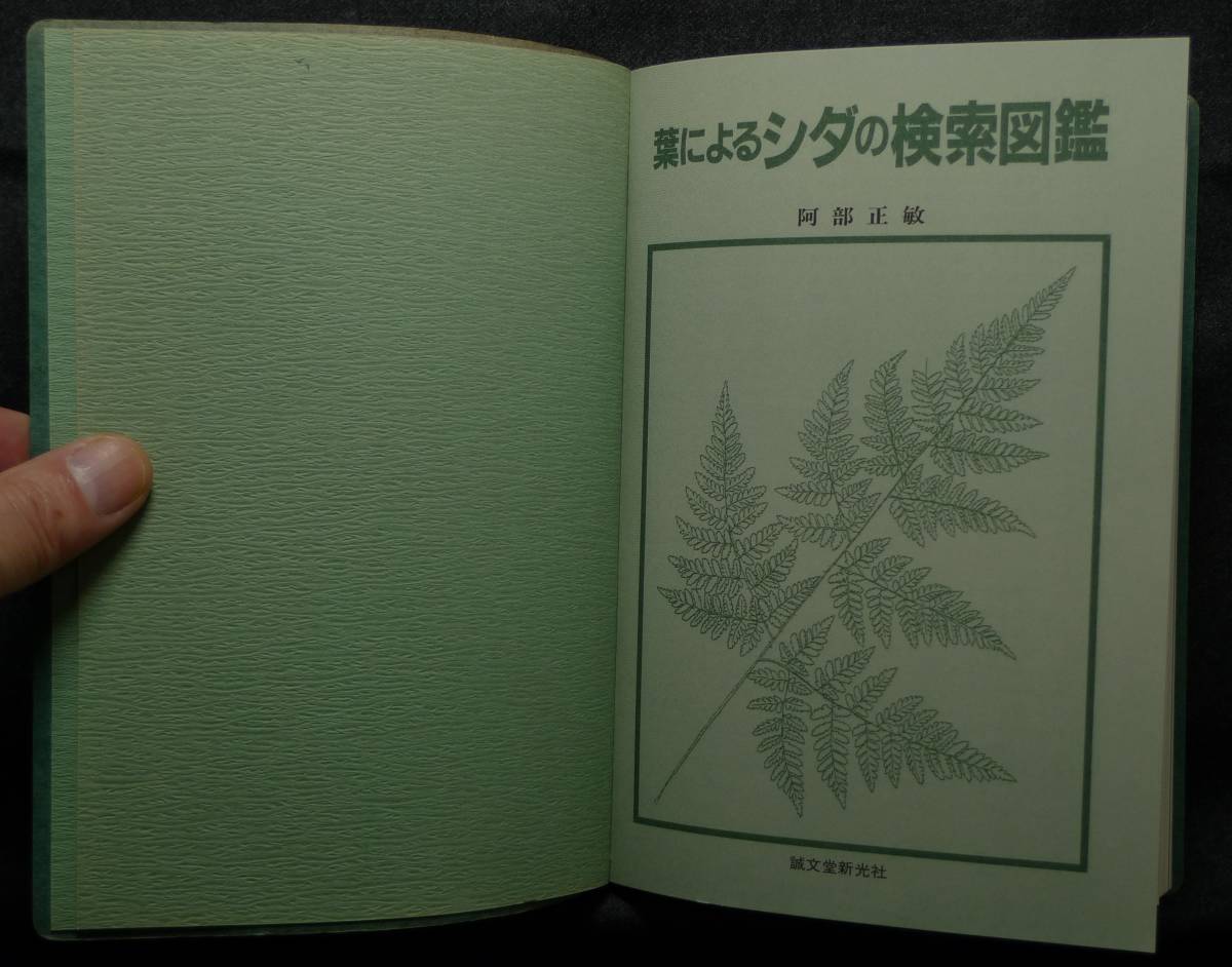 [ super rare ] secondhand book leaf because of sida. search illustrated reference book author :. part regular .( stock ). writing . new light company 