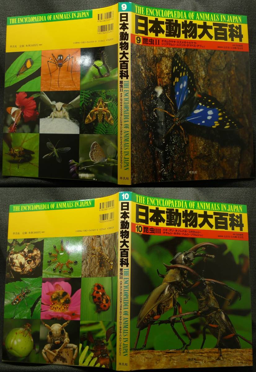 税込 超希少 初版 美品 全１１巻セット 古本 日本動物大百科 第１ １０巻 別巻 日高敏隆監修 株 平凡社 生物学 Jasa Org Za