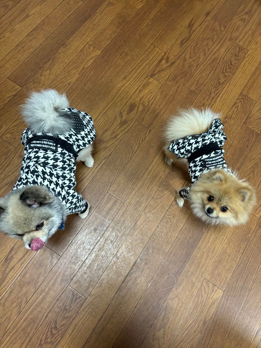 犬服ハンドメイド　千鳥格子ワンピース　DSサイズ