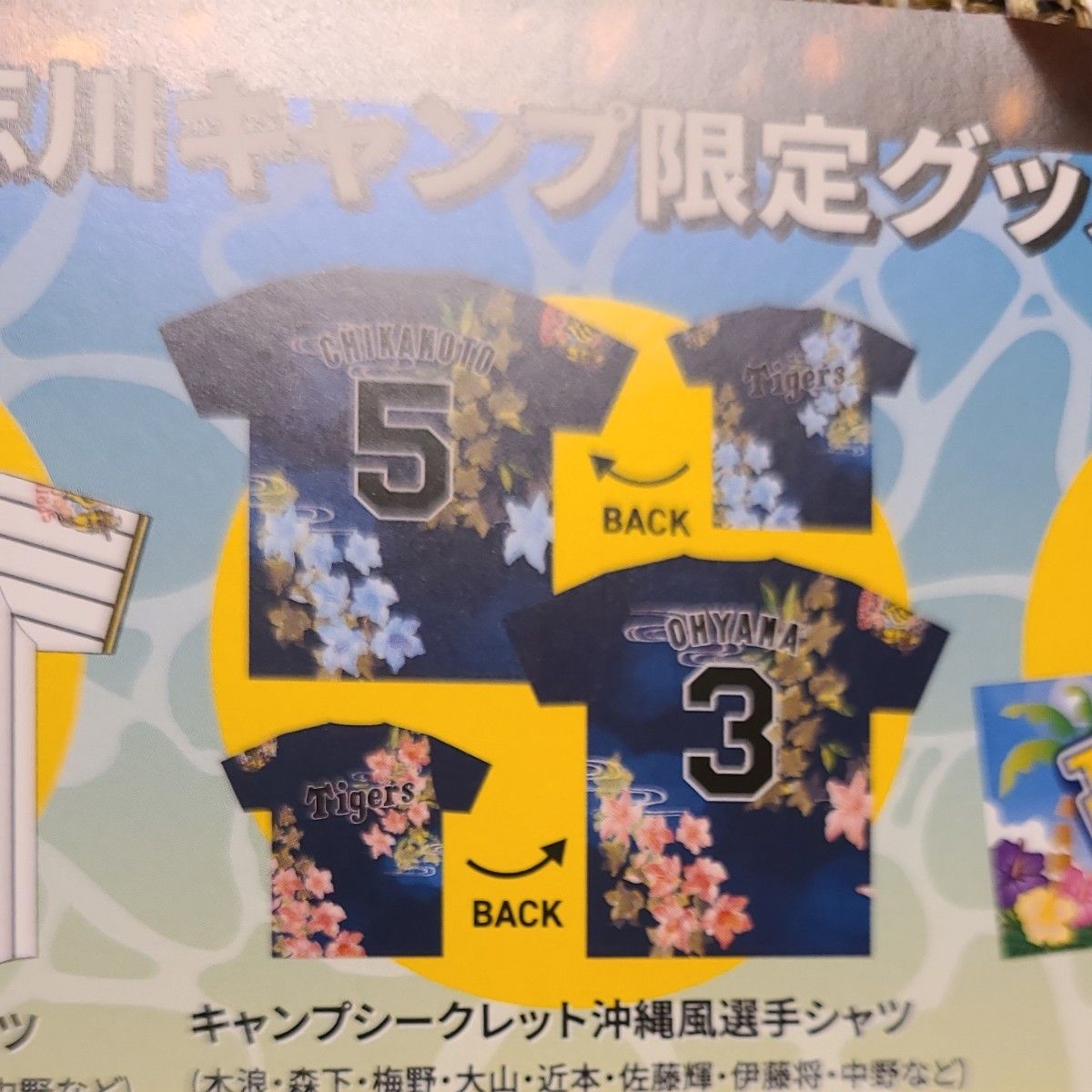2025 宜野座・具志川 沖縄風選手Tシャツ シークレット キャンプ 2025 宜野座・具志川 沖縄風選手Tシャツ シークレット キャンプ