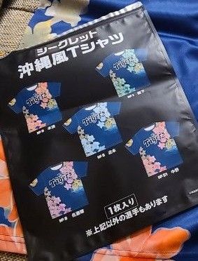 2025阪神タイガース 宜野座・具志川キャンプ限定 沖縄風 2025阪神タイガース 宜野座・具志川キャンプ限定 沖縄風
