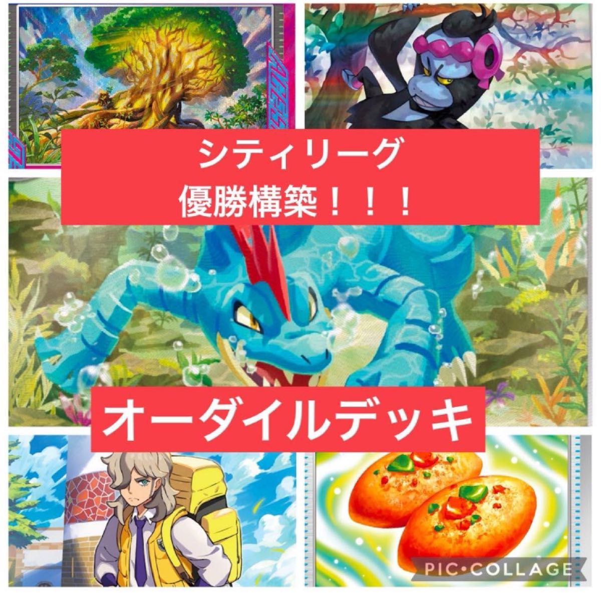 オーダイルデッキ ポケモンカード 優勝デッキ 構築済みデッキ オーダイルデッキ ポケモンカード 優勝デッキ 構築済みデッキ