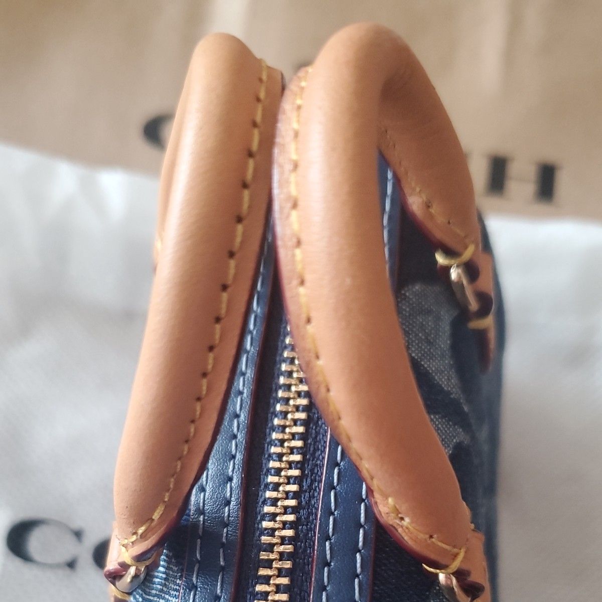 COACH コーチ ミニ ローアン バッグ チャーム・シグネチャー COACH コーチ ミニ ローアン バッグ チャーム・シグネチャー