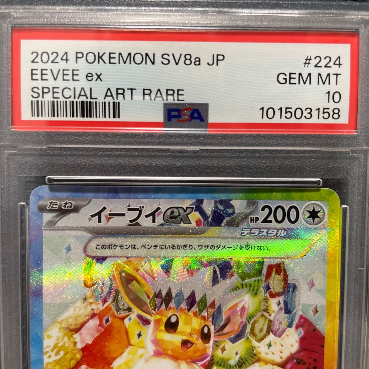 PSA10 ポケモンカード SAR イーブイex 224/187 美品 鑑定品 2024 PSA10 ポケモンカード SAR イーブイex 224/187 美品 鑑定品 2024