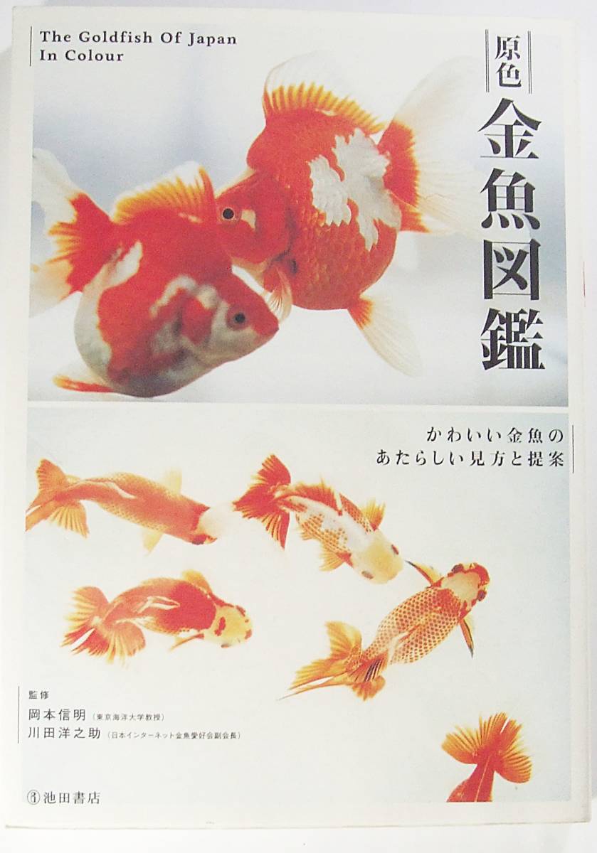 原色金魚図艦 かわいい金魚のあたらしい見方と提案 川田 洋之助 _画像1
