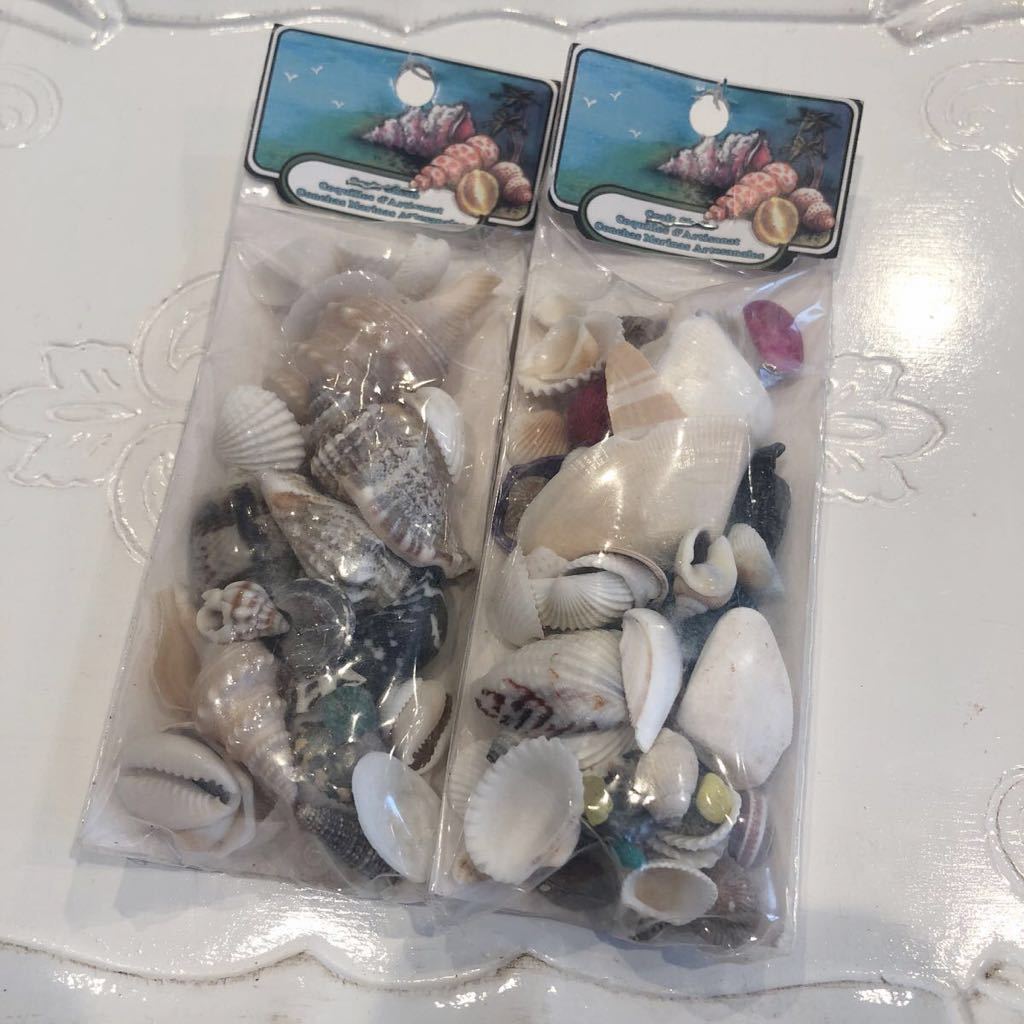 Auction Id J 貝殻 インテリア雑貨 パーツ 雑貨 アメリカ 天然素材 シェル Kaiguys Yahoo Auctions Japan English Proxy Bidding Service Auction Id J 貝殻 インテリア雑貨 パーツ 雑貨 アメリカ 天然素材 シェル Kaiguys Yahoo Auctions Japan English Proxy Bidding Service