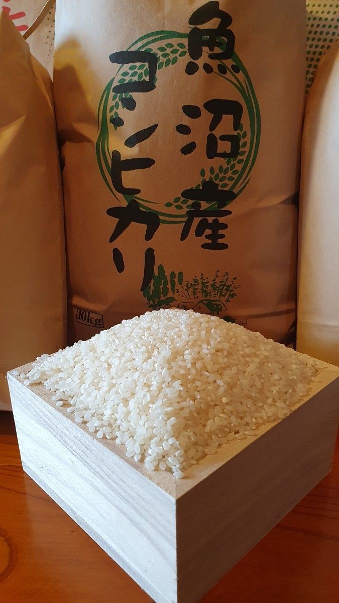 令和6年産 新米 南魚沼産コシヒカリ 旧塩沢町 玄米