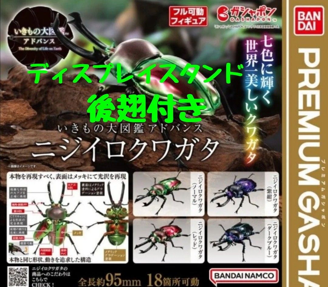 いきもの大図鑑アドバンス ニジイロクワガタ | ナムコパークス いきもの大図鑑アドバンス ニジイロクワガタ | ナムコパークス