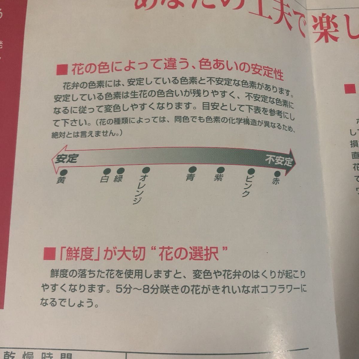 ドライ工房 ポコット 原形ドライフラワー製造器 新品未使用品 ドライ工房 ポコット 原形ドライフラワー製造器 新品未使用品