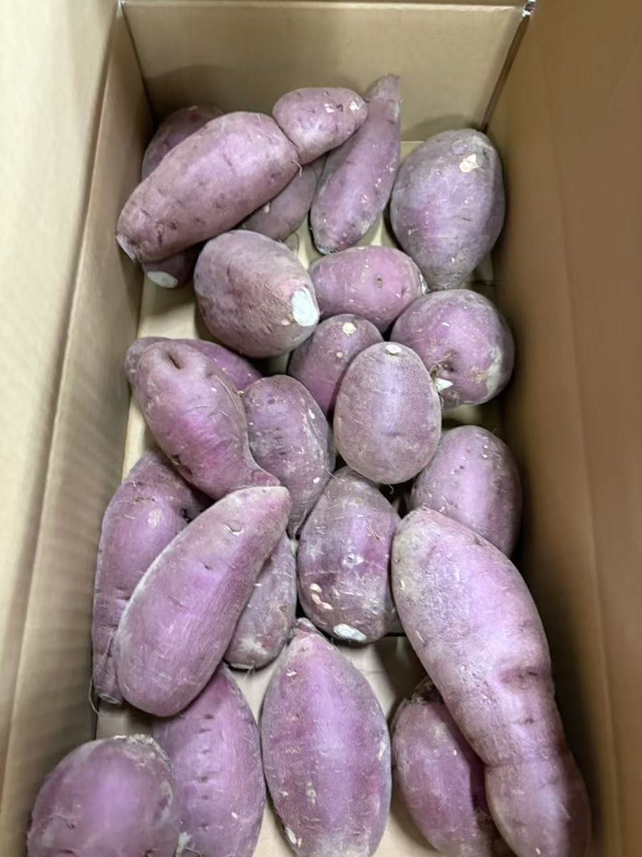 さつまいも 20kg 中〜大 残り僅か|Yahoo!フリマ(旧PayPayフリマ) さつまいも 20kg 中〜大 残り僅か|Yahoo!フリマ(旧PayPayフリマ)