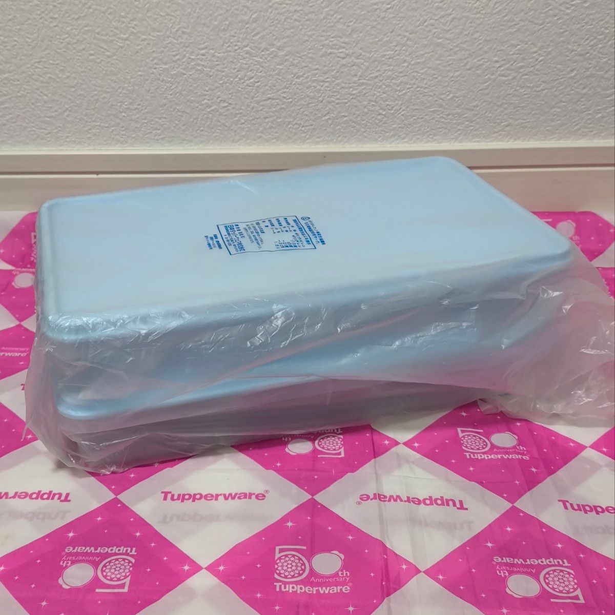 タッパーウェア 薄型ケース(小)(2個)冷蔵・冷凍 Tupperware タッパーウェア 薄型ケース(小)(2個)冷蔵・冷凍 Tupperware