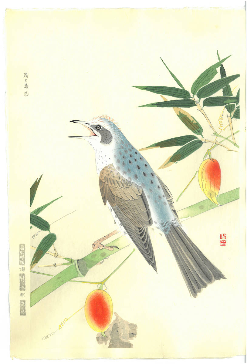 福田翠光 (Fukuda Suiko) (1895~1973) 木版画 鵯（ひよどり)と烏瓜　初版大正期～版元蔵出し作品!　京都の一流の摺師の技をご堪能下さい。