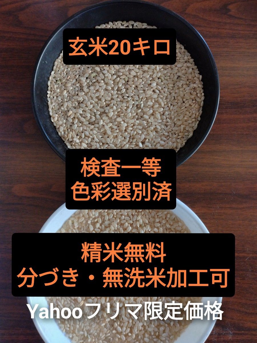 茨城県産コシヒカリ玄米20キロ