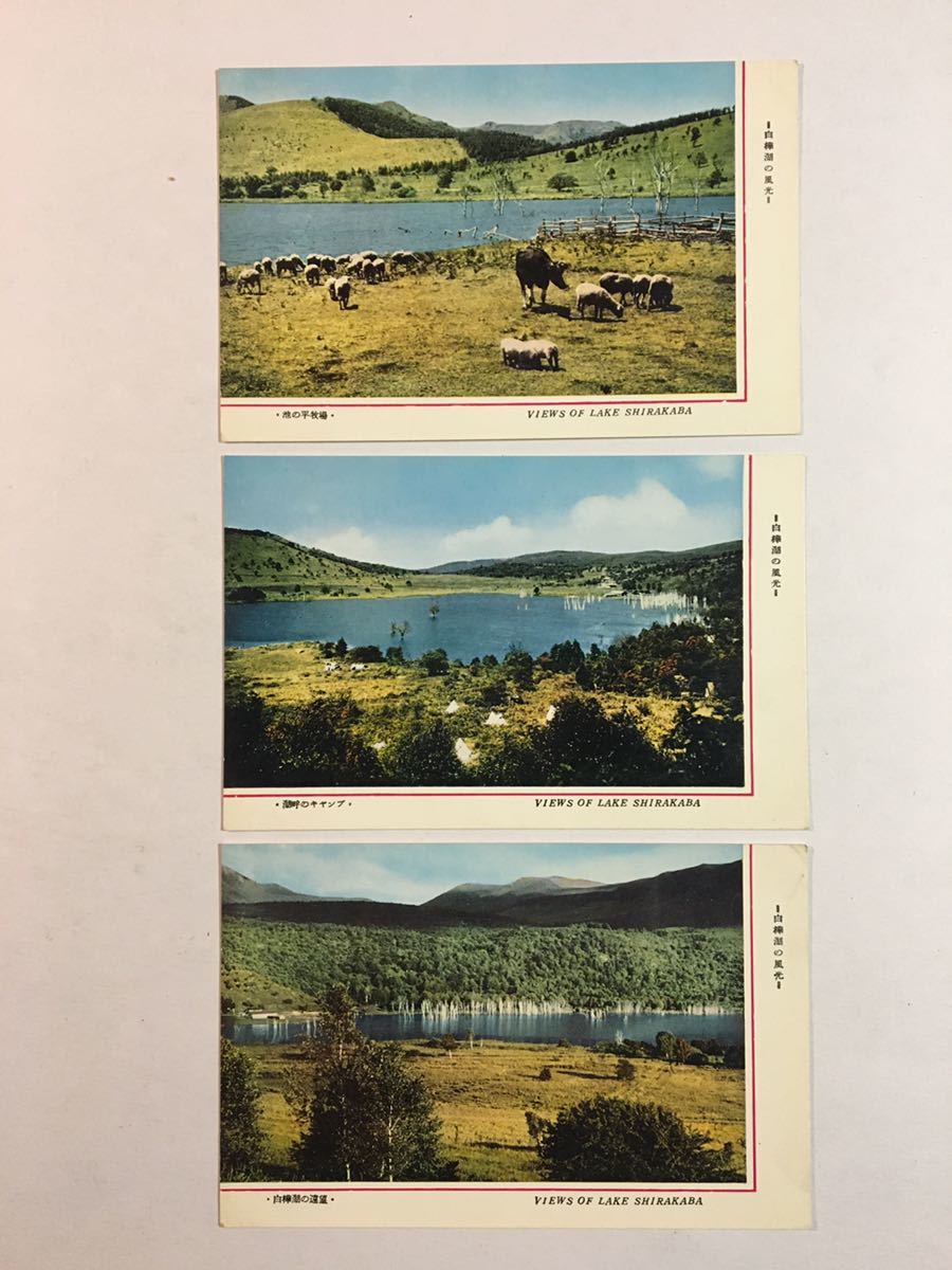 「白樺湖の風光」ポストカード3枚。レトロ感満載古い絵葉書。_画像1