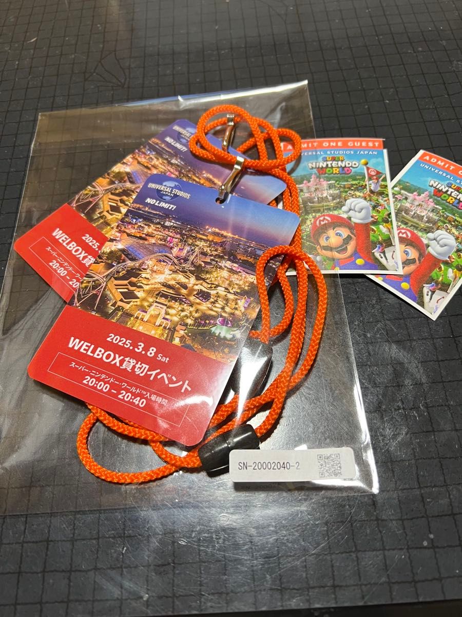 即日発送】ユニバーサルスタジオ 3月8日 USJ 貸切 チケット <2名 即日発送】ユニバーサルスタジオ 3月8日 USJ 貸切 チケット <2名