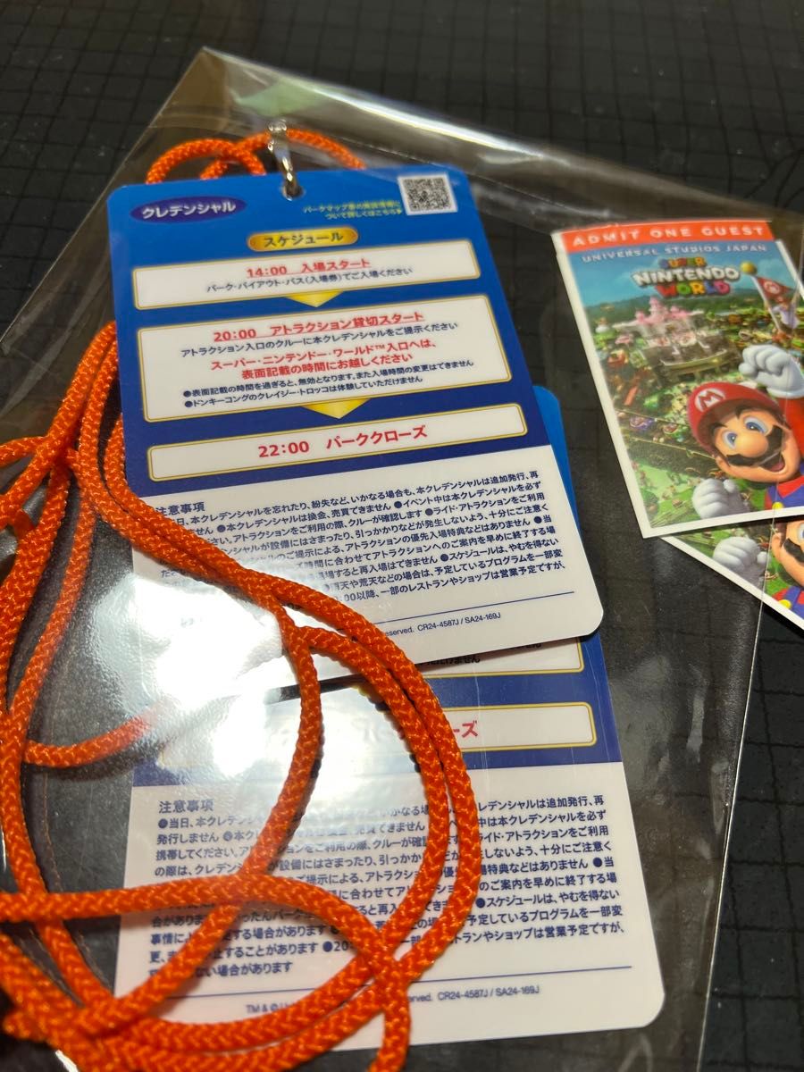 即日発送】ユニバーサルスタジオ 3月8日 USJ 貸切 チケット <2名 即日発送】ユニバーサルスタジオ 3月8日 USJ 貸切 チケット <2名
