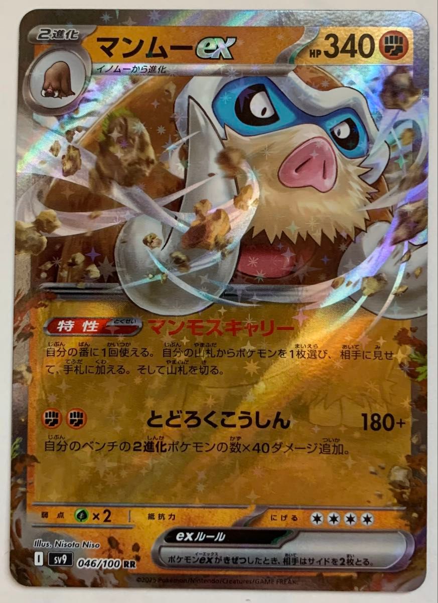 ポケモンカード リーリエのアブリボン AR 1枚 おまけ4枚付き ポケモンカード リーリエのアブリボン AR 1枚 おまけ4枚付き