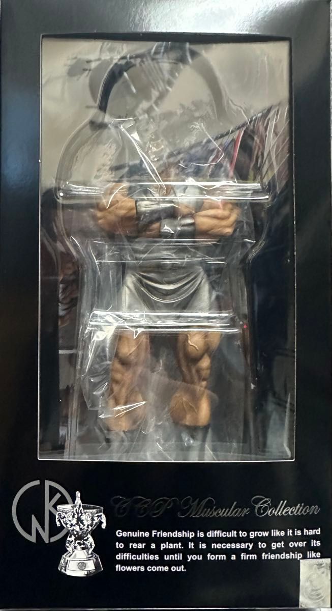 CCP CMC NO EX ゴールドマン シルバーマン原作メッキカラー CCP CMC NO EX ゴールドマン シルバーマン原作メッキカラー