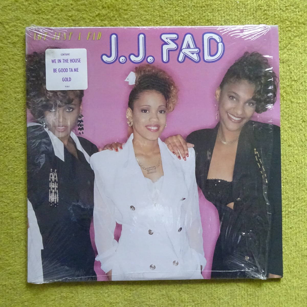 J.J. Fad Not Just A Fad* Ruthless Records 盤 We In The House Gold Be Good Ta Me_画像1