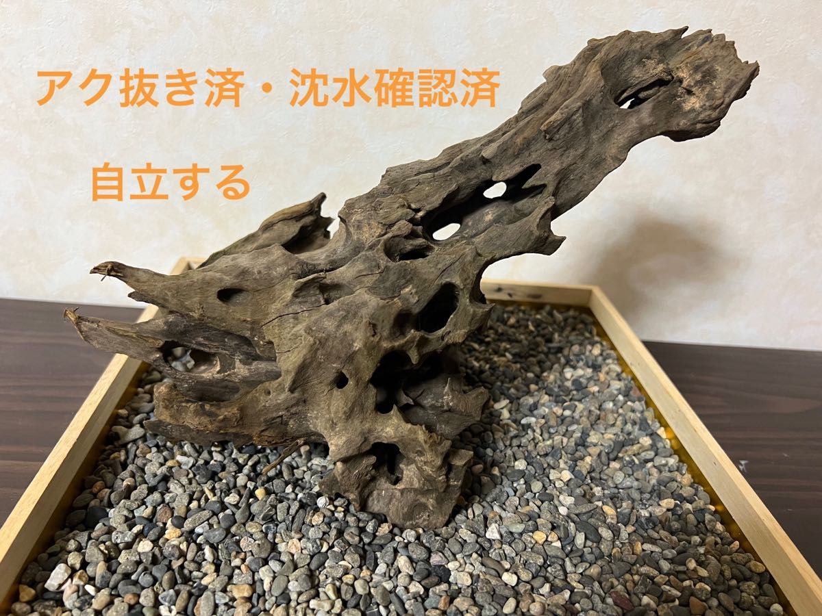 XM-433 流木 マシンガンウッド アクアリウム ブランチウッド