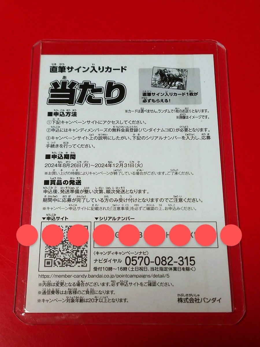 超貴重】池添謙一騎手 直筆サインカード 「 カレンチャン 超貴重】池添謙一騎手 直筆サインカード 「 カレンチャン