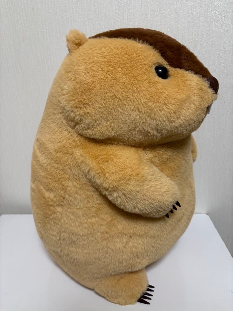 マーモットのもっとっと mottoto ウルトラBIG ぬいぐるみ アー マーモットのもっとっと mottoto ウルトラBIG ぬいぐるみ アー