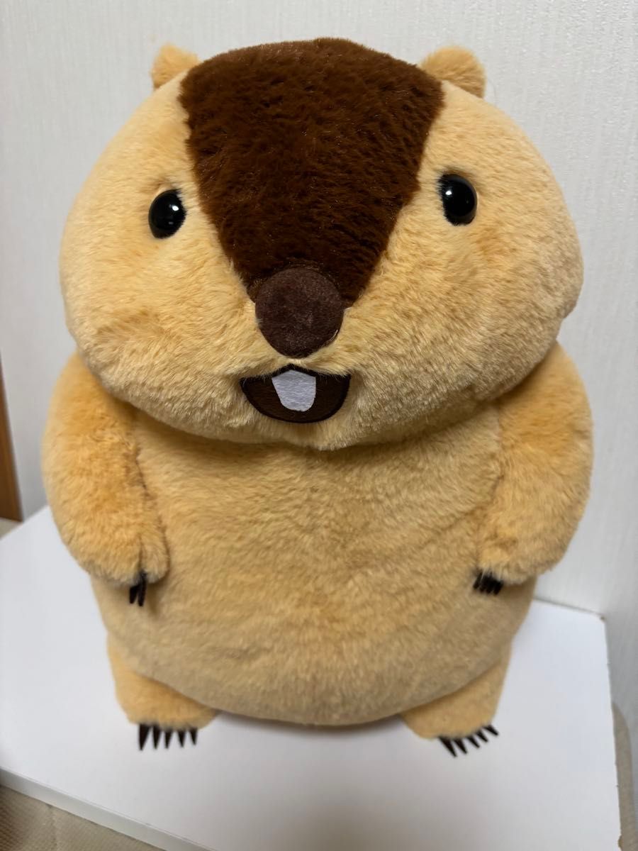 マーモットのもっとっと mottoto ウルトラBIG ぬいぐるみ アー マーモットのもっとっと mottoto ウルトラBIG ぬいぐるみ アー